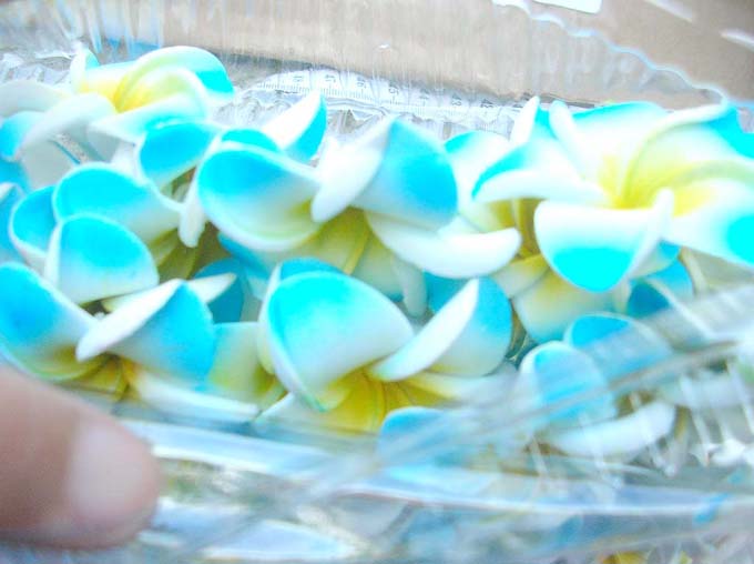 foam-plumeria-flowers-02m