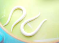 long bone spiral earrings