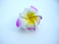 foam-plumeria-flower-hair-jaw-clip-1c
