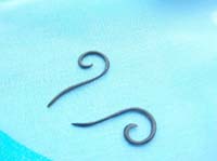 horn jewelry natural earring long spiral hook