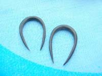 U shape horn earring