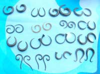 mixed assorted designs of horn earring plugs earlets stetchers
