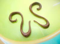 S french fish hook wooden earring