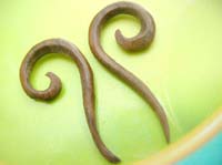 long spiral wooden earrings