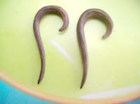 short spiral hook wooden earrings