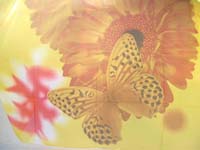 polyester-colorful-printing-scarf-637d-butterfly-flower