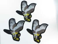 patch1506a