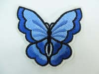 patch1613c
