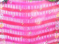 g6b-flower-tiedye-b