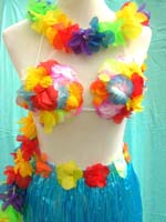Aloha Hula dancer costume set
