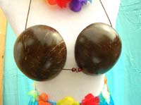 demi-cut-coconut-shell-hula-bra-1b
