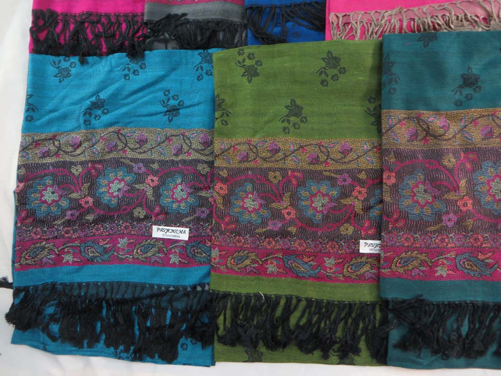 pashmina24dl1b