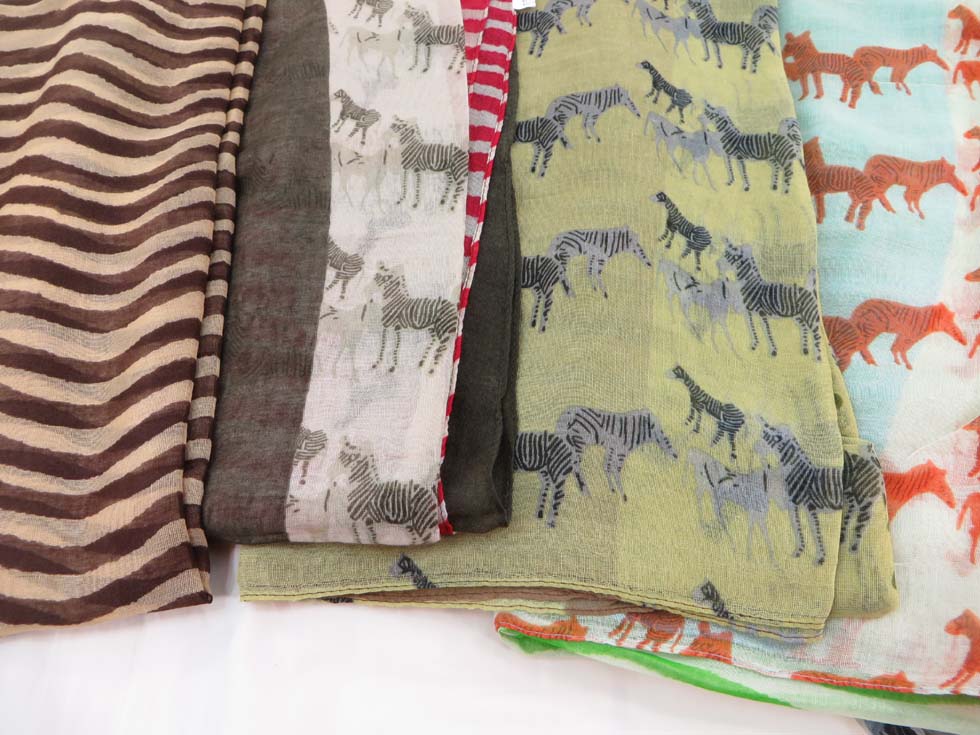 scsarong11dor1d