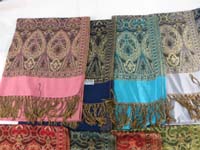 pashmina20db5b