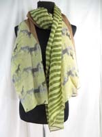 scsarong11dor1tq
