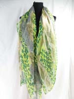 scsarong13dor1xm
