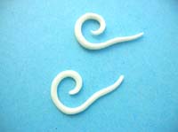 Stylish organic bone earring in small spiral motif with tail