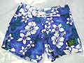 PANT09SS.jpg (28633 bytes)