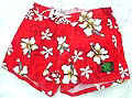 PANT17SS.jpg (29359 bytes)