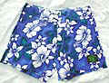 PANT20SS.jpg (29868 bytes)