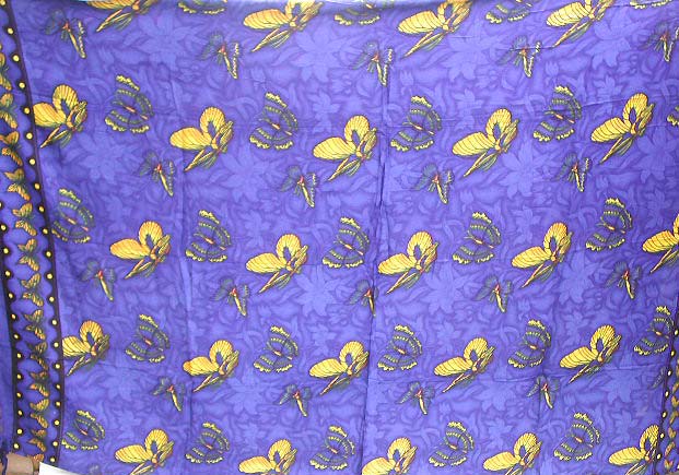 Yellow butterflies with dark blue color       