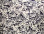 Animal skin pattern with black and blone color