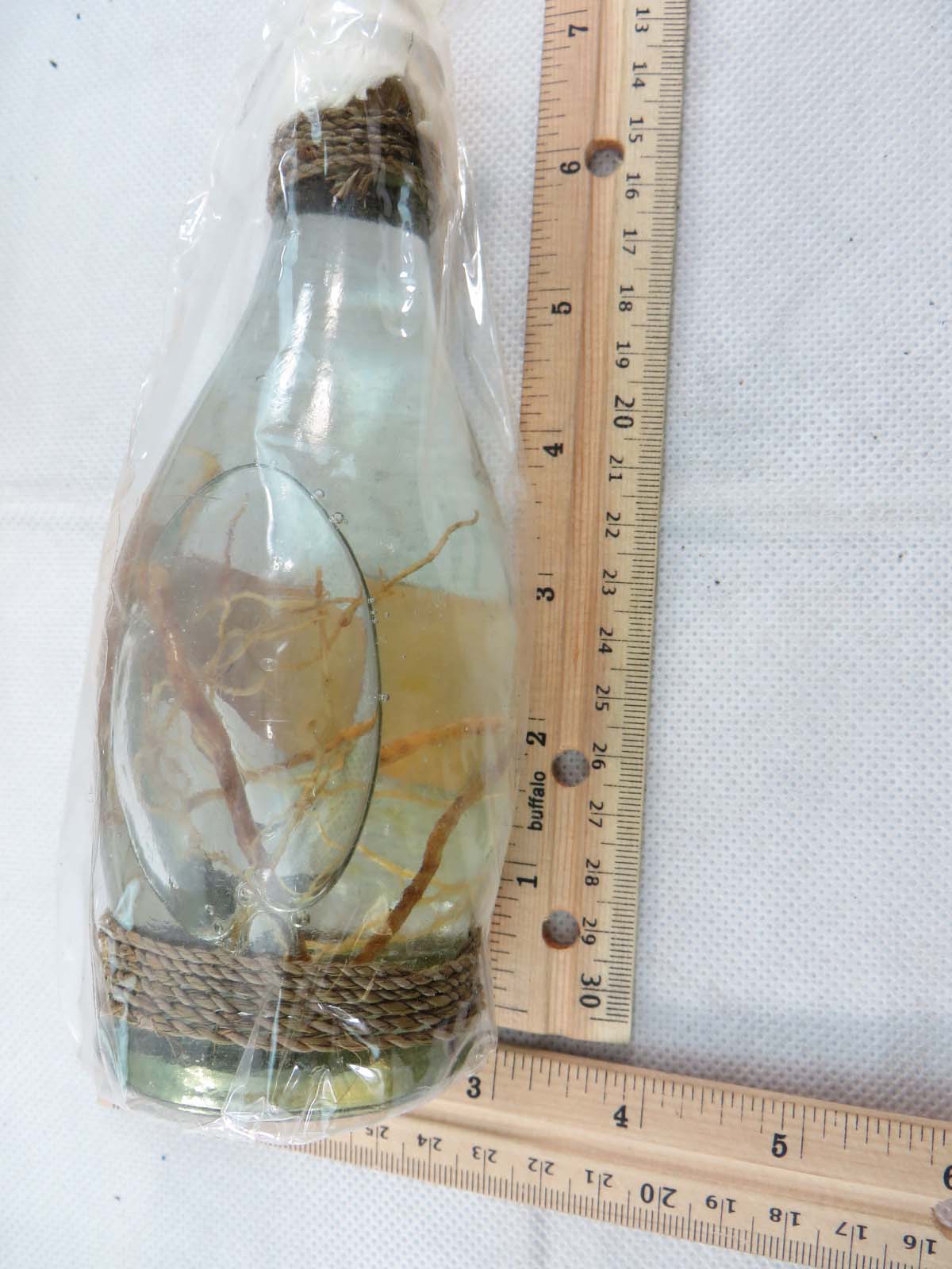 oil50j