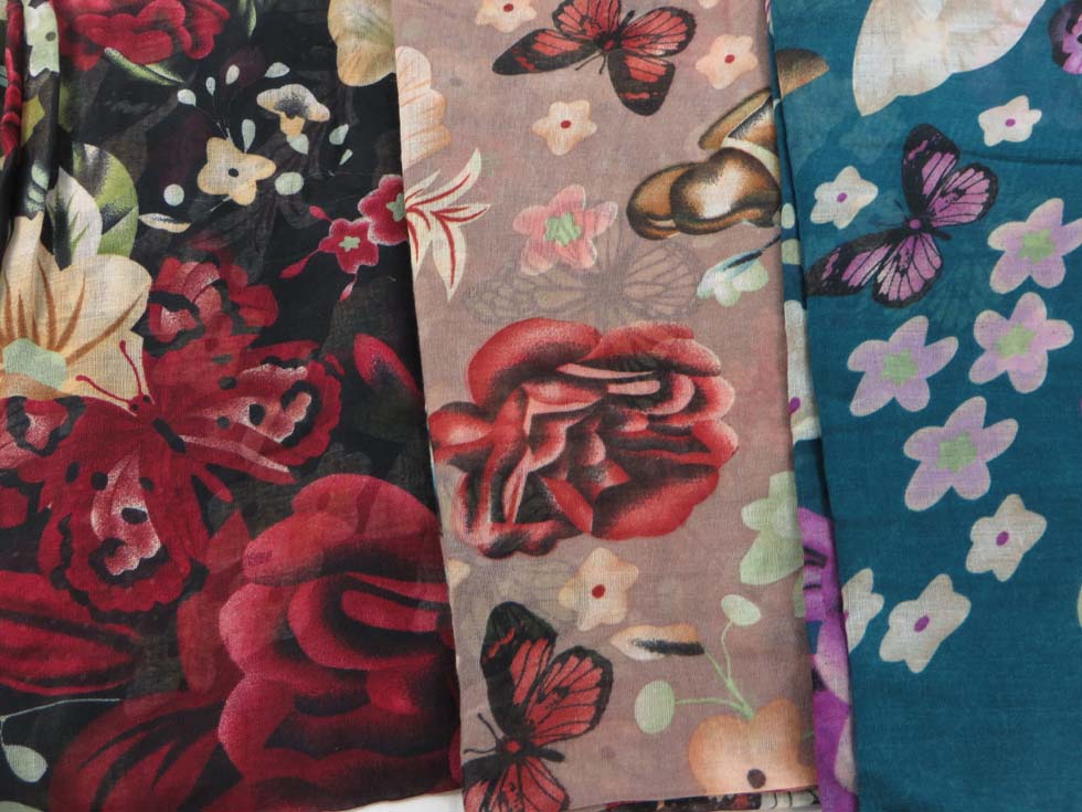 scsarong21db2d