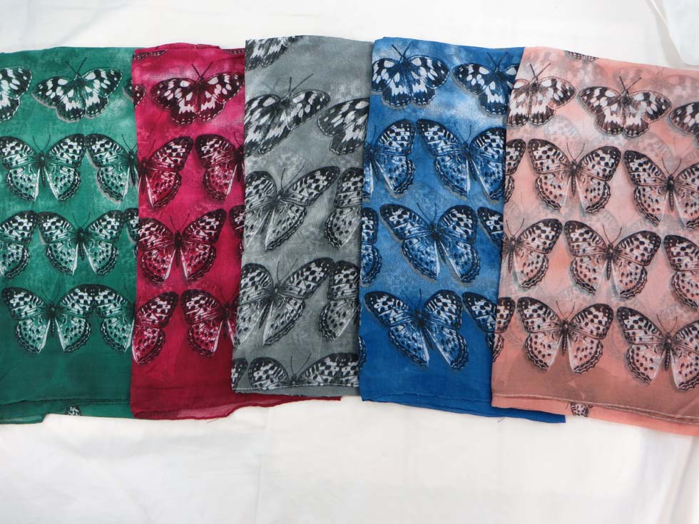 scsarong22db2a