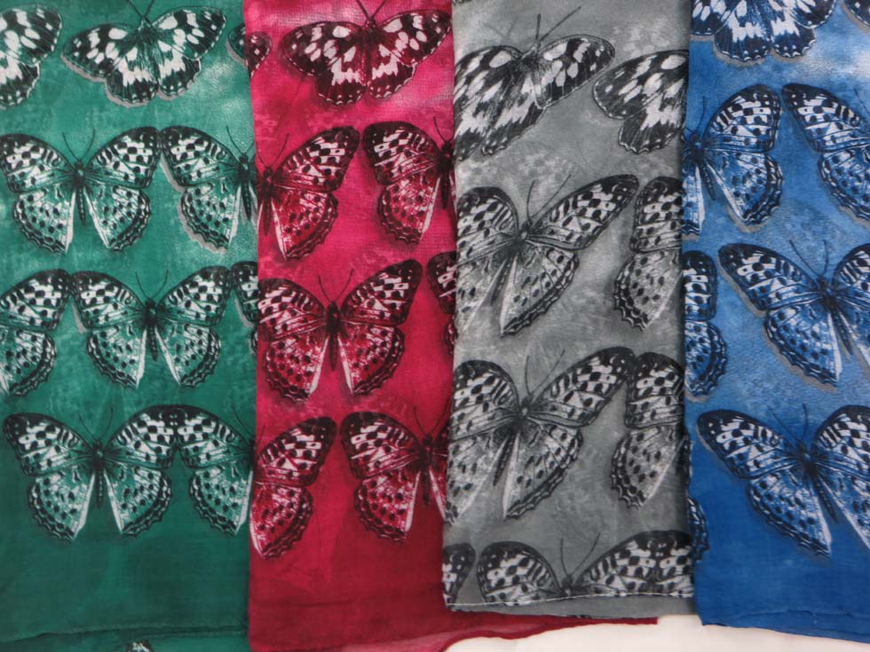 scsarong22db2b