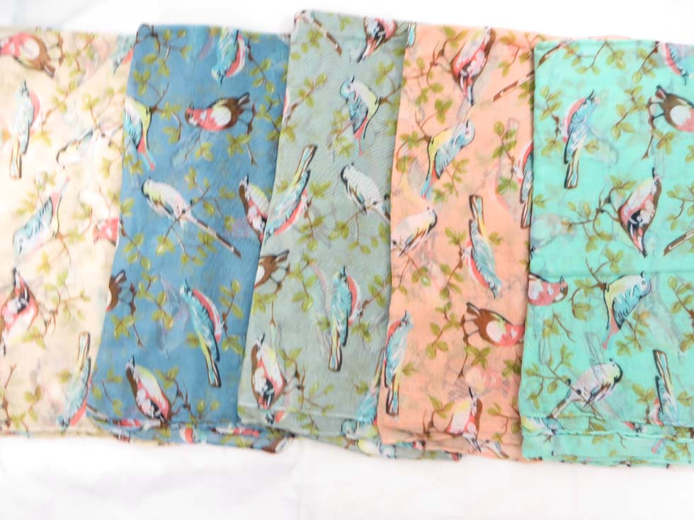 scsarong23db2a
