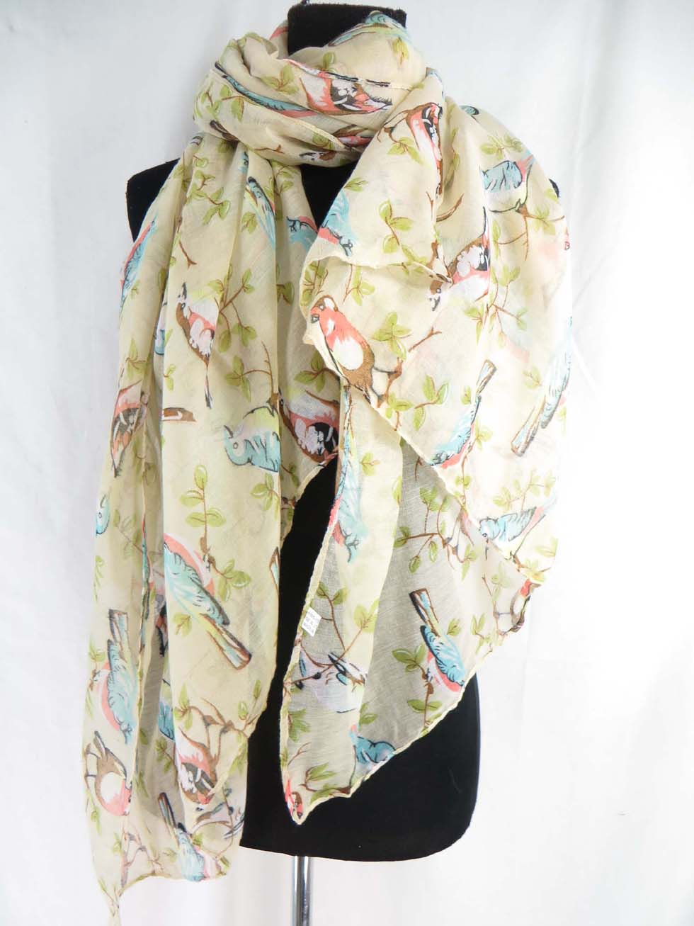scsarong23db2xe