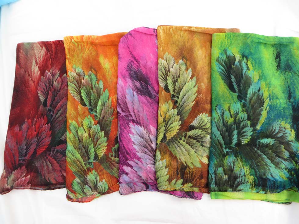 scsarong29db4a