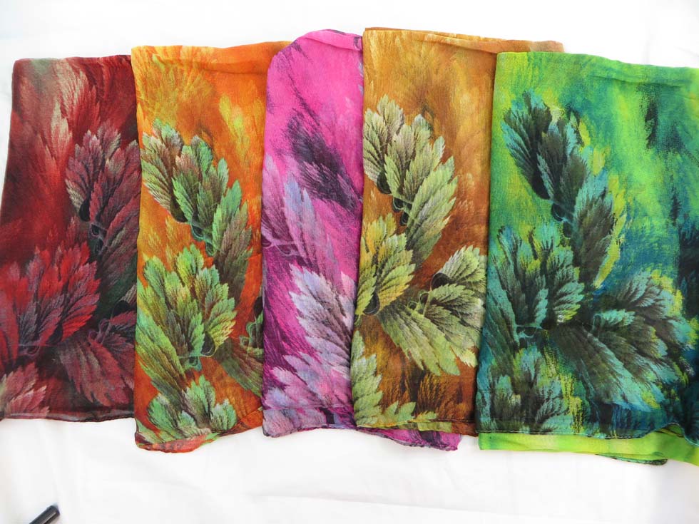 scsarong29db4b