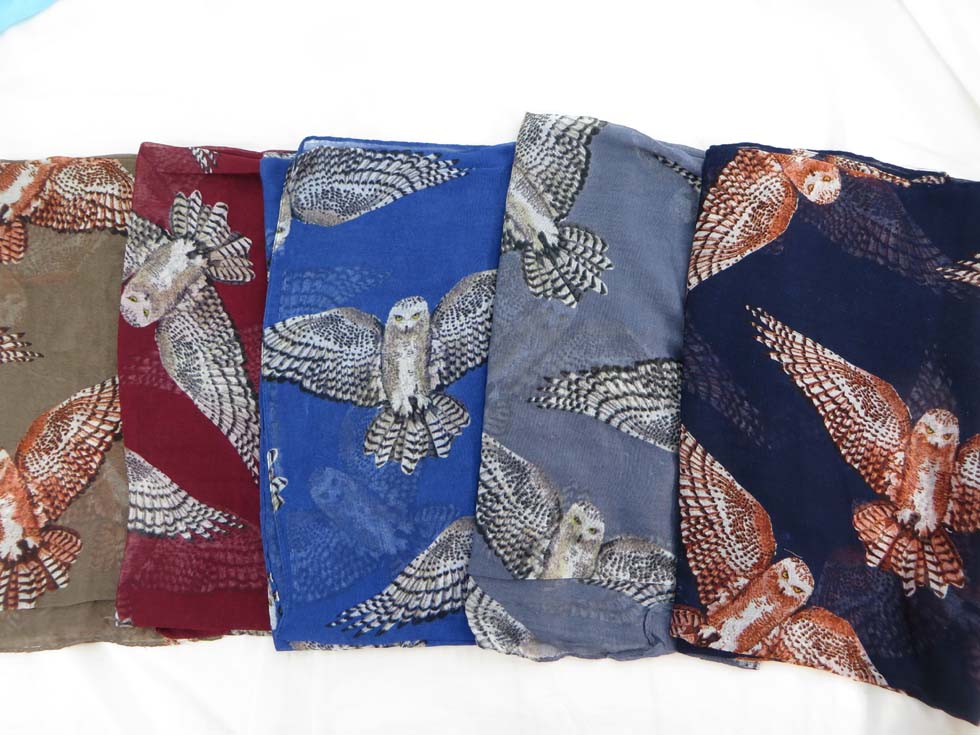 scsarong33db8a